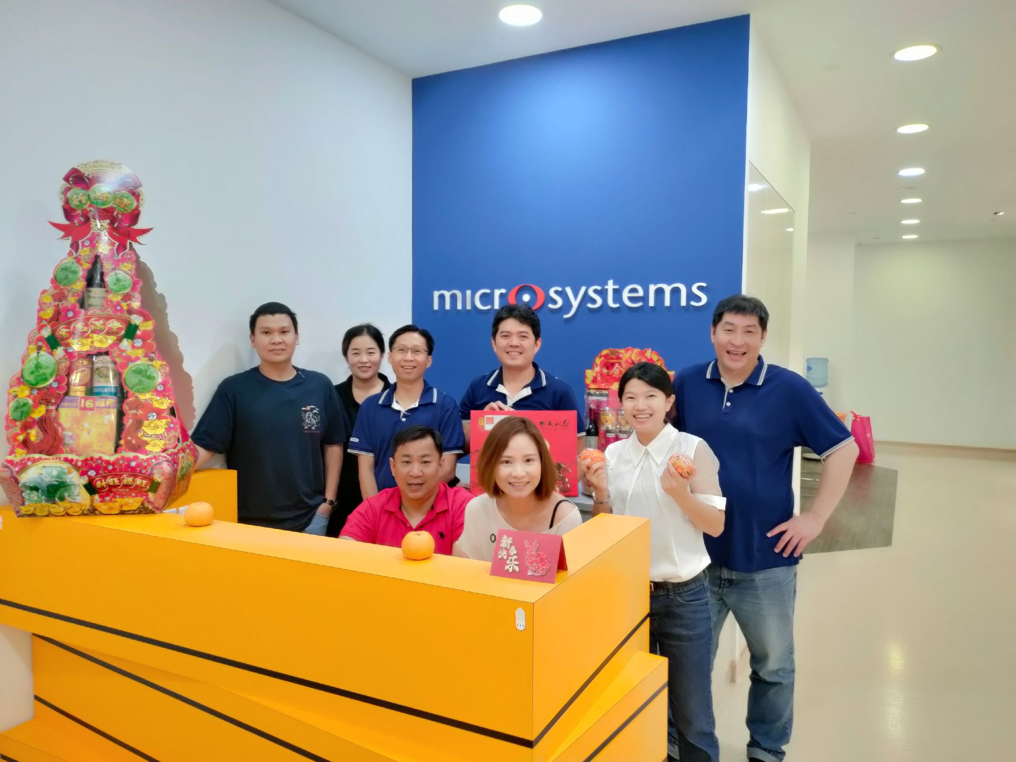 micro systems singapore